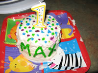 Max's first birthday: Max's personal cake.