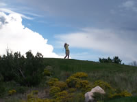 September 2006 Photos: Chris teeing off at Paa-Ko Ridge