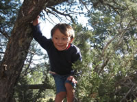 September 2006 Photos: Alex in his favotite climbing tree.