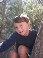 September 2006 Photos: Alex in his favotite climbing tree.