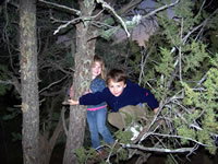 November 2006: Ashlyn and Alex climbing a tree in the backyard.