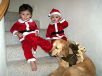 November 2006: Santas and a reindeer