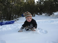 January 2007: Max eating snow.