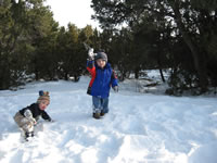 January 2007: Alex and Max playing in the snow out front.