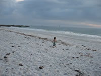 February 2007: Maxie running down to the water on an overcast afternoon.