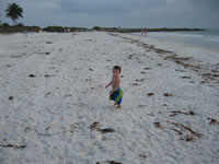 February 2007: Max on the beach, I think he was chasing birds.