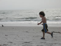 March 2007: Alex loved chasing after all the birds on the big beach.