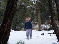 April 2007: Max in the snow