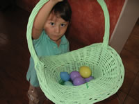 April 2007: Alex found LOTS of eggs!!!