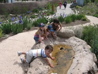 May 2007: At the Albuquerque Botanical Garden with Peyton and Ashlyn