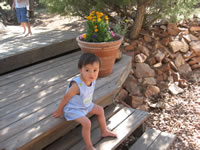 June 2007: Max in the backyard