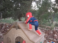 June 2007: Spiderman