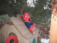 June 2007: Spidey on the roof of the playhouse