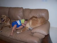 August 2007: Alex playing with Jessie and Woody