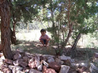 August 2007: Max in the backyard