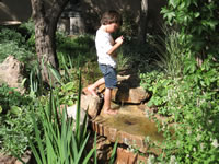 August 2007: We could not keep Alex out of the water features at Brad and Leslie's. He loves them!