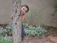 August 2007: Peek-a-boo Max!