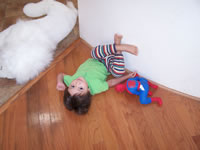 October 2007: Max, Spiderman and the White Lion