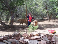 October 2007: Max Spidey in backyard with pups, Jessie and Woody