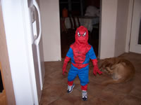 October 2007: Spidey!