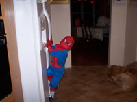 October 2007: Spidey!