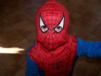 October 2007: Spider-Max!