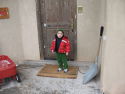 January 2008: Max in snowfall