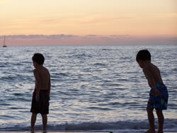 November 2008: Sunset wading, Gulf of Mexico