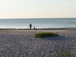 December 2008: Chris, Alex and Max wading in the Gulf of Mexico