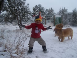 December 2008: Max and puppies playing in the snow