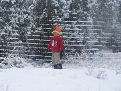 December 2008: Beach and snow in the same week! Max was in heaven.