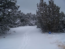 January 2010: Driveway