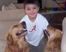 February 2010: Max and pups