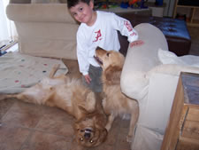 February 2010: Max and pups