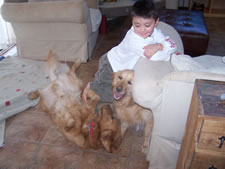 February 2010: Max and pups