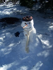 February 2010: Snowman