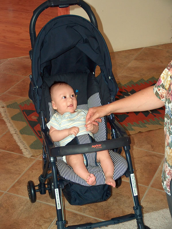 Alex in his stroller.