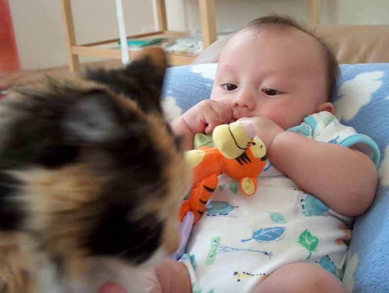 Teething with Tigger.