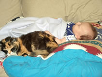 Napping with Cammie. (95kb)