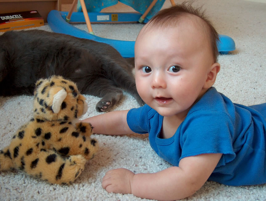 Alex with the cheetah cub Leslie Staller brought him from Africa.