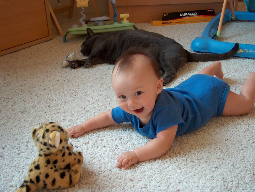 Alex, Mister Gray and cheetah cub.