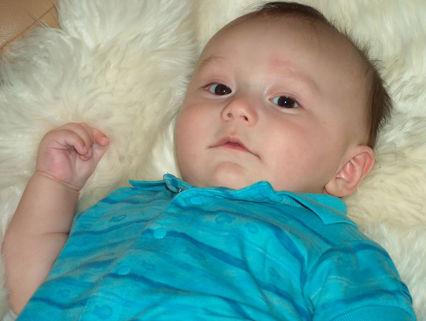 Alex relaxing on a soft fluffy sheepskin.