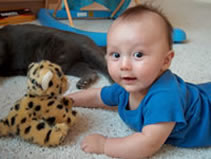 Alex with the cheetah cub Leslie Staller brought him from Africa. (103kb)