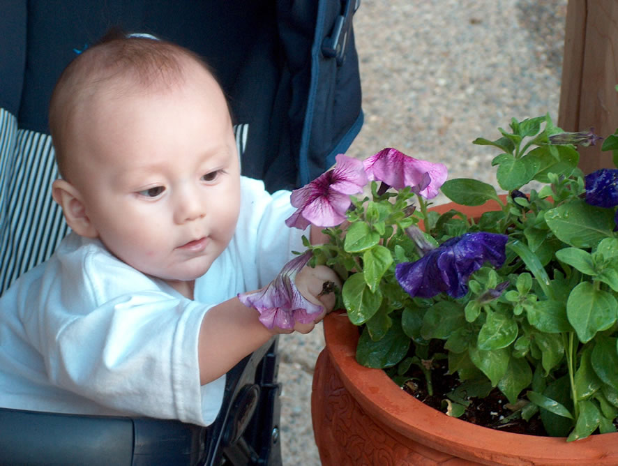 Gardening with Mom...