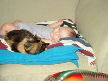 Napping with Cammie. (114kb)