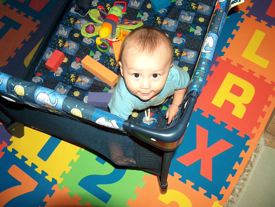 Alex in his playpen.