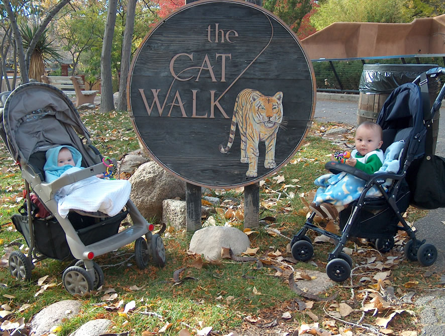 At the zoo with Ashlyn, who is 6 months old.