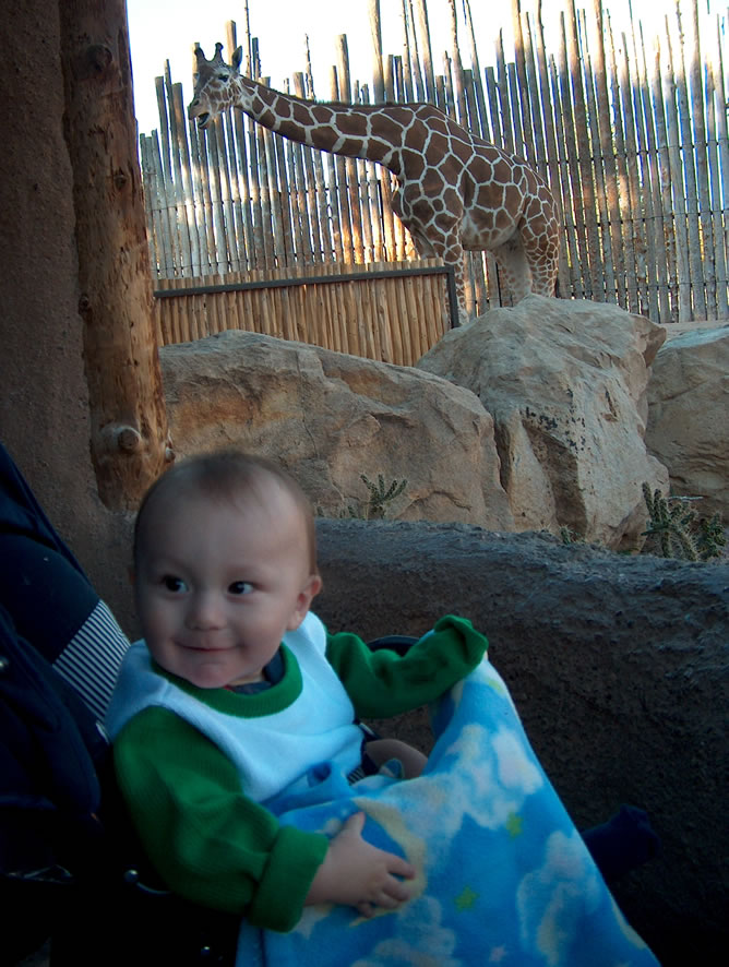 Alex with a big giraffe