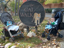 At the zoo with Ashlyn, who is 6 months old. (224kb)