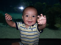 Max at the ABQ Aquarium